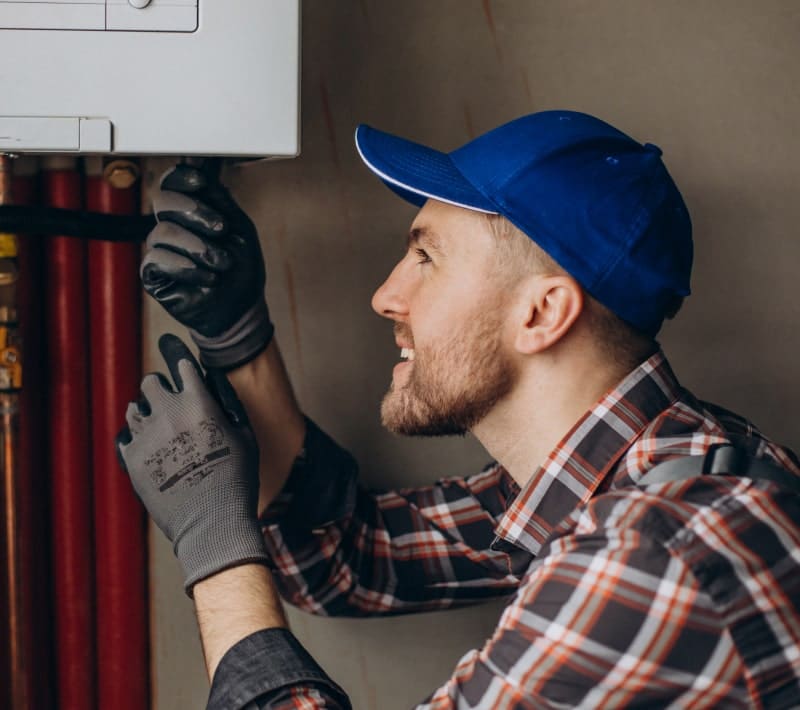 Thank You Thank You Alt